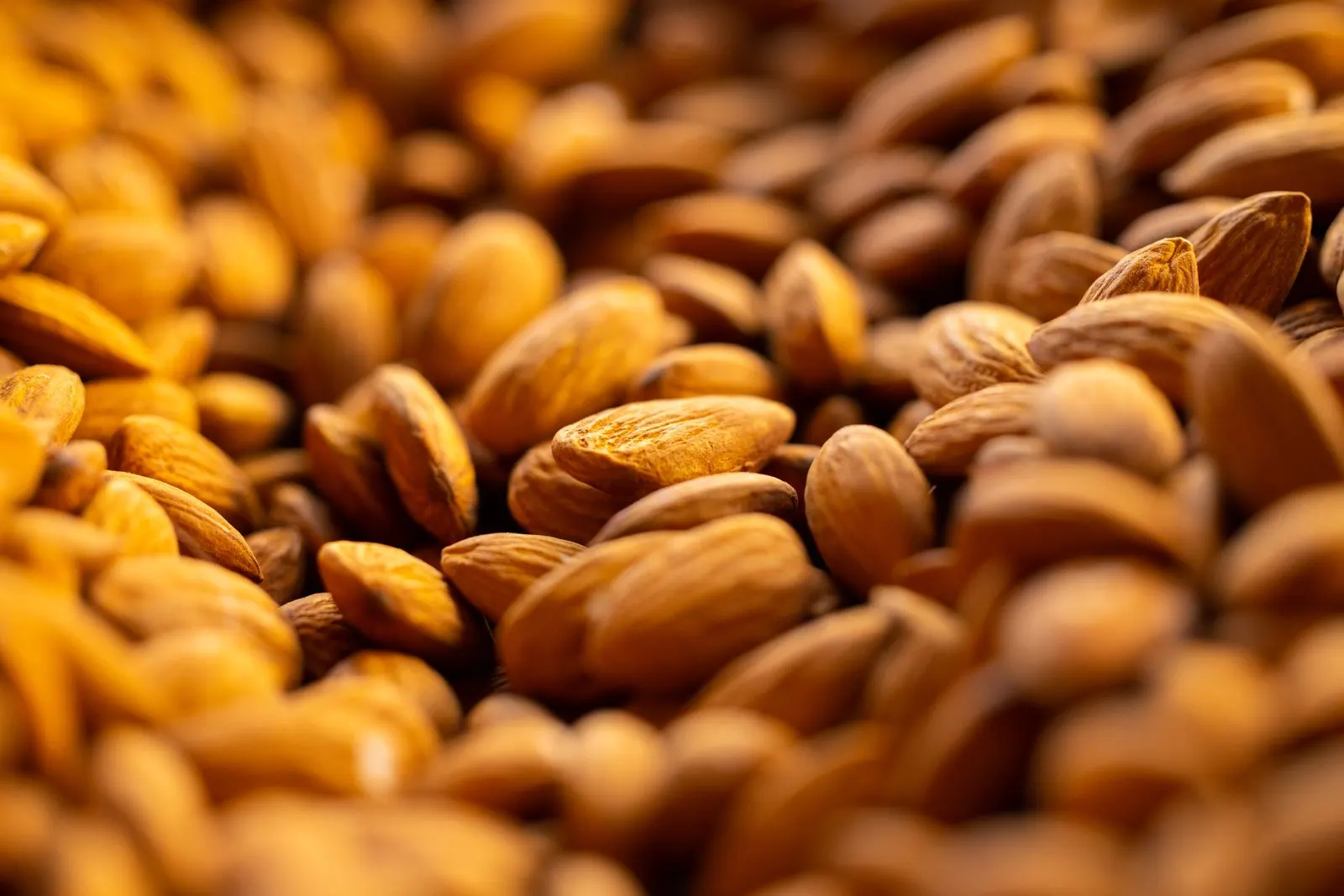 Almendras en cáscara recién cosechadas: la producción varía de 1 a 50 kilos por árbol